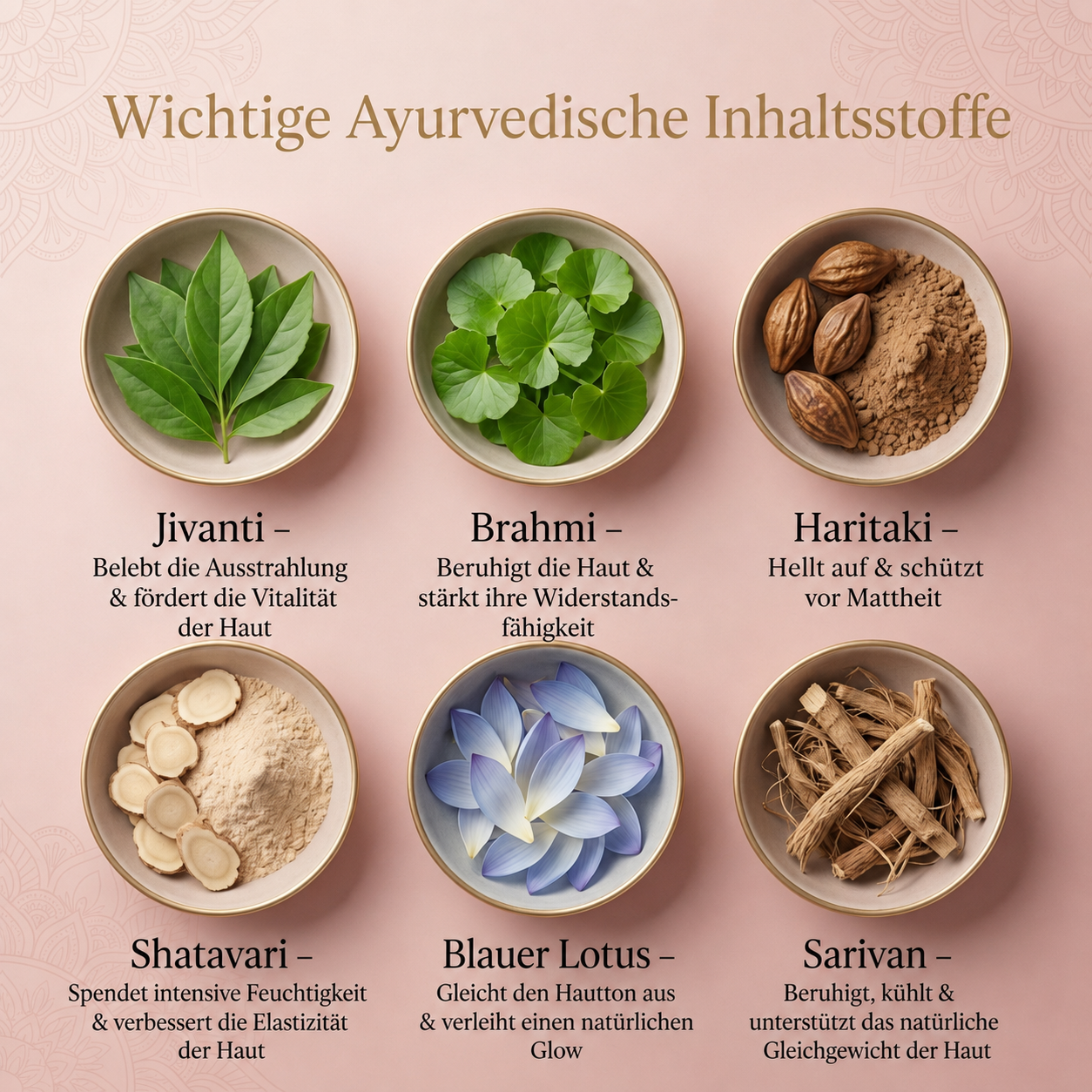 8-Kräuter Ayurvedisches Radiance-Tagesserum mit Syn-Ake-Peptid für intensive Feuchtigkeitsversorgung, ganztägige Ausstrahlung und sichtbare Straffung.