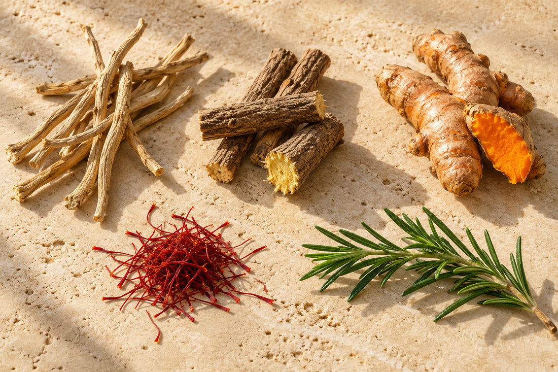 Getrocknete Ashwagandha-Wurzeln, Süßholzstangen, frische Kurkuma, Safranfäden und ein Rosmarinzweig auf einer cremefarbenen Steinfläche